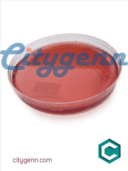 microbiology microbiology